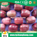 2015 New Crop China Huaniu maçãs para o mercado de Índia